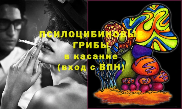 круглые Алзамай