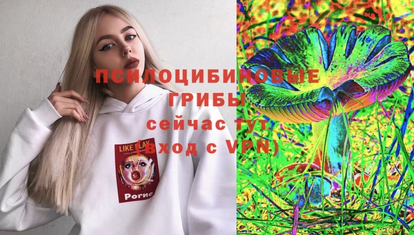 ALPHA-PVP Алексин