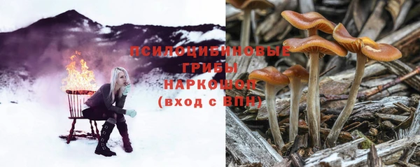 круглые Алзамай